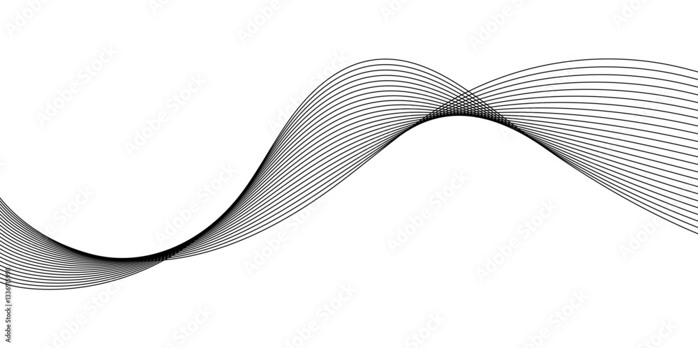 Fototapeta premium Abstract Curved Black and White Line Wave Background