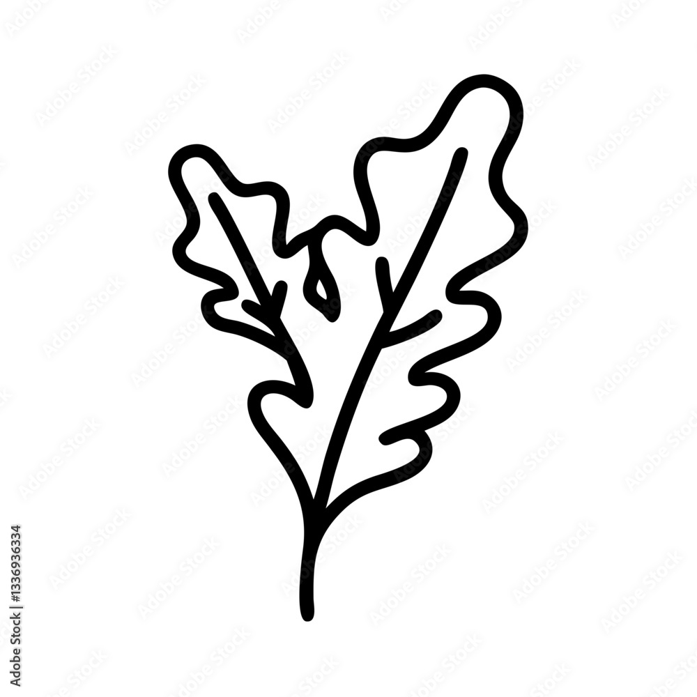 Obraz premium Arugula 