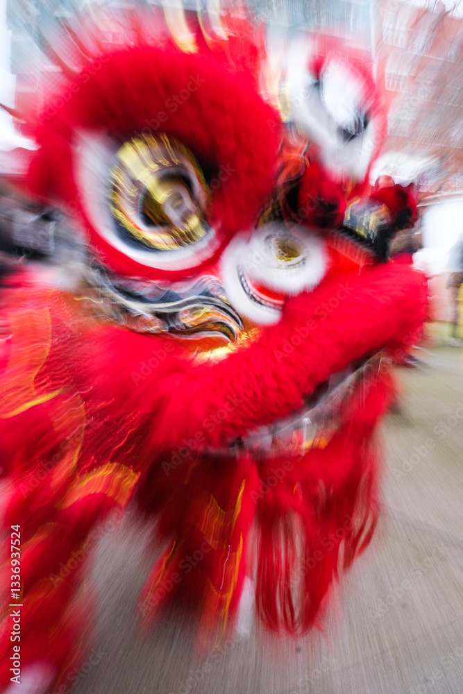 dragão china ano novo chinês festejo popular