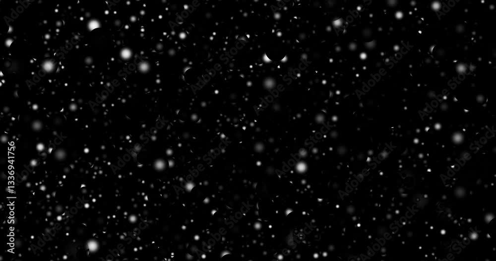 Animated monochrome background with bubbles Animated monochrome background with bubbles