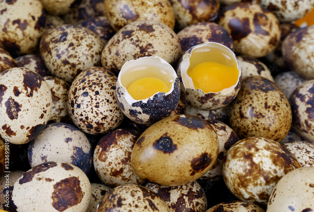 Obraz premium Many raw quail eggs close-up. 