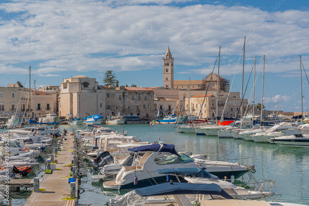 Vue sur la Basilica Cattedrale di Maria Santissima, depuis le port de Trani, dans les Pouilles, Italie