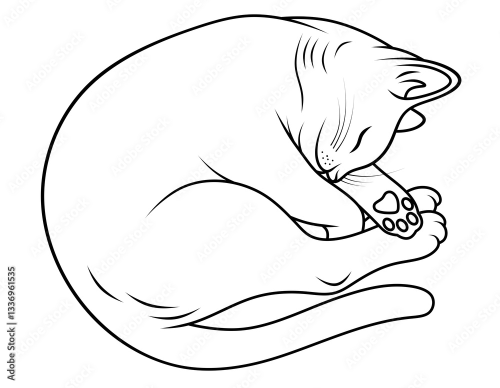 Illustration of a sleeping cat drawn with lines on a transparent background. Suitable for colouring with pets. Kitten lying down and sleeping outline drawing. Illustration of a sleeping cat drawn with lines on a transparent background. Suitable for colouring with pets. Kitten lying down and sleeping outline drawing.