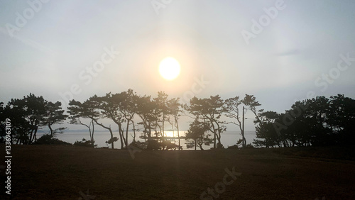 波戸岬の浜辺に沈む夕陽