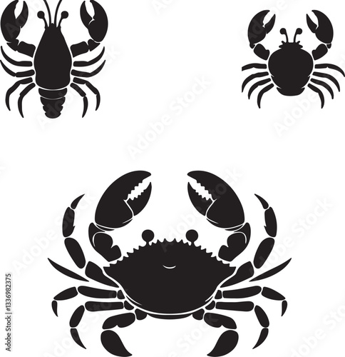 Crab on Sandy Beach - Wildlife and Nature Stock Image