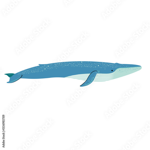 Blue Whale profile mid century modern design
