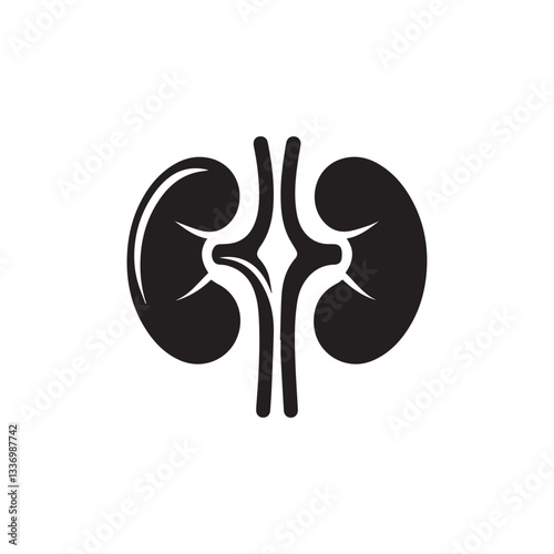 black kidneys of human anatomy. Illustration of human kidney organ.