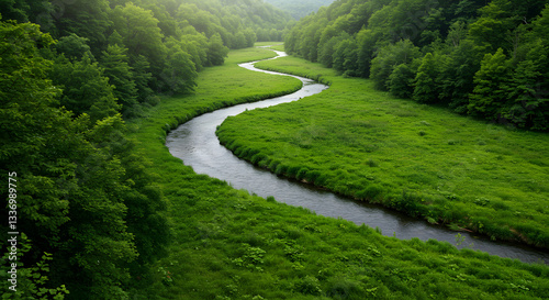 A river flowing through a lush valley represents how water sustains life, connecting all organisms in an endless cycle.