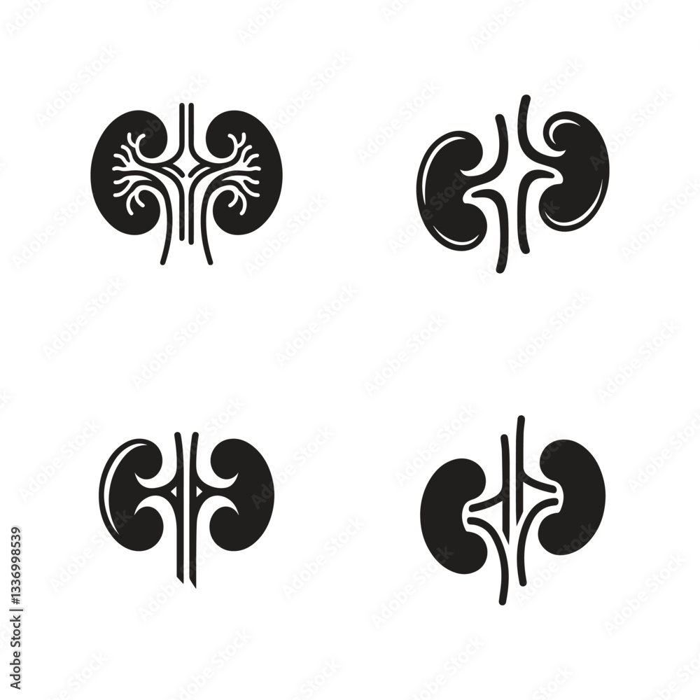set of collection black kidneys of human anatomy. Illustration of human kidney organ. set of collection black kidneys of human anatomy. Illustration of human kidney organ.
