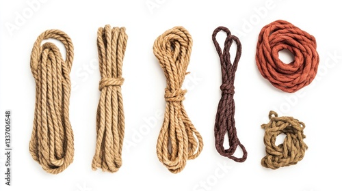 A selection of different ropes laid out on a clean white background, great for use in textile or design concepts