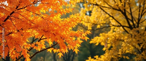 Golden autumn leaves, vibrant colors, active retirement, vitality, yoga