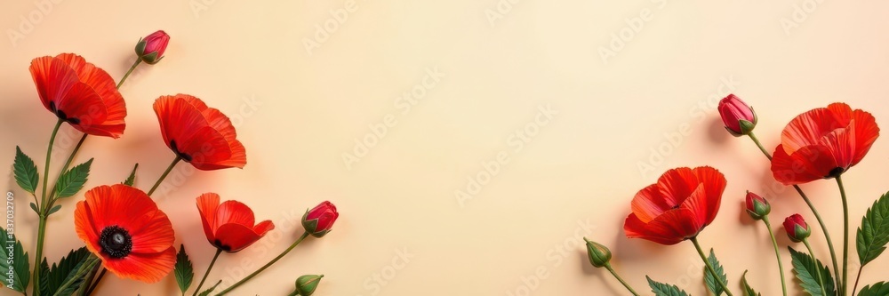 Fototapeta premium Creamy textured backdrop, vibrant poppy detail, vibrant, cream