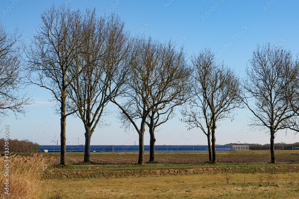 Green landscape with bare trees and distant large building on a clear day in early spring Green landscape with bare trees and distant large building on a clear day in early spring