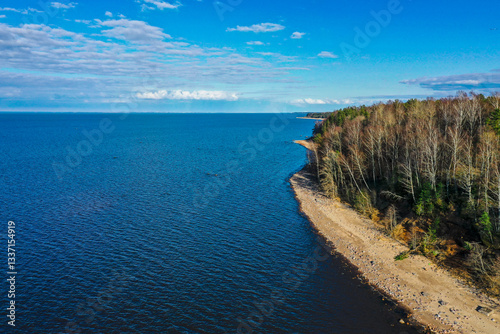 Aerial view of the coastline of the Gulf of Finland. Sandy coast and forest belt. Treetops, blue sky.