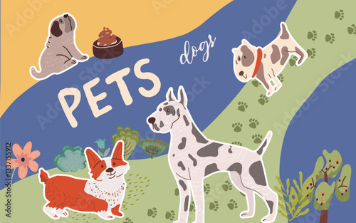 Collage, horizontal background, set of portraits of adorable cute pets. Hand drawn vector illustration.