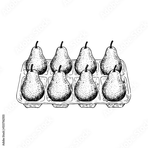 Detailed engraving showcasing eight vintage pears arranged in a decorative carton for artistic inspiration and design ideas