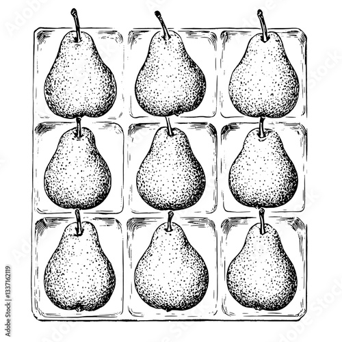 Engraved illustration of pears in a vintage style, perfect for hand-drawn tattoo designs and premium product packaging