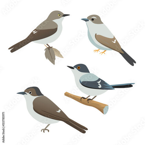 Variety of Birds: This illustration showcases an assortment of birds, captured in a simple, vibrant style. Each bird, uniquely colored and positioned.