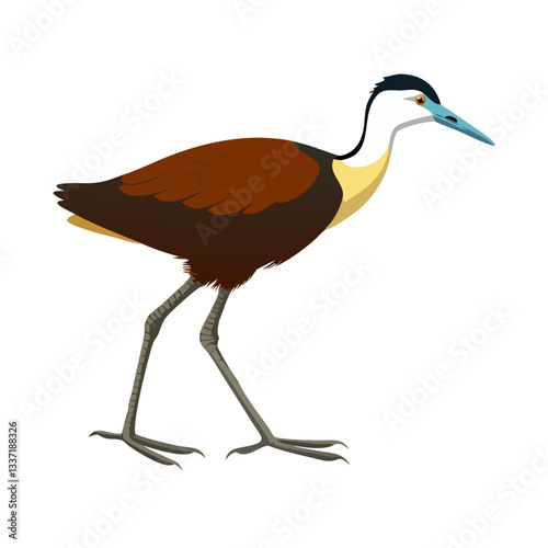 Elegant Jacana Bird: A striking jacana, a master of wetland environments, displays its long toes and graceful form. Capturing the essence of nature's unique artistry.