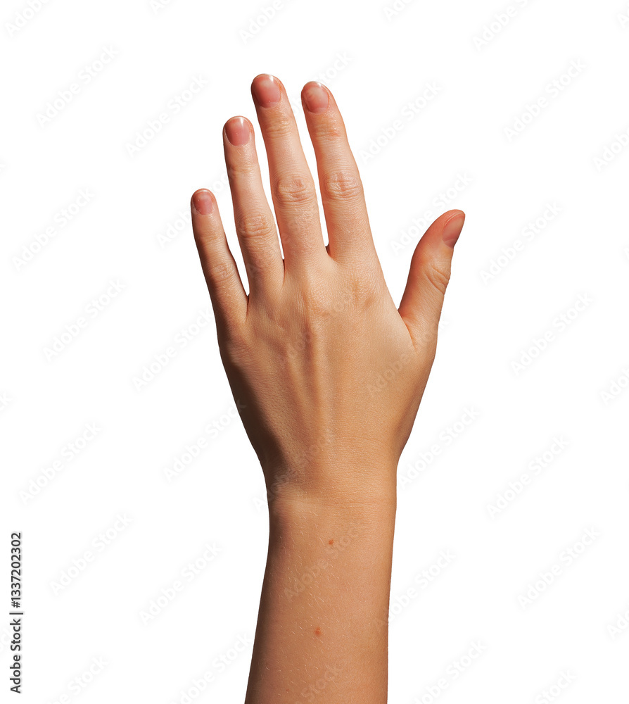 Fototapeta premium Hand raised in greeting, fingers open, waving with suntan visible on wrist and arm. Sign of communication, showing 