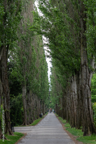 The tranquil and serene atmosphere of Assistens Cemetery in Copenhagen, Denmark, where famed Danish author Hans Christian Andersen is buried.