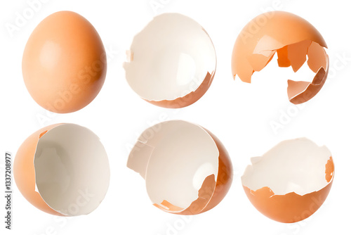 broken eggshell isolated on white background PNG. GENERATIVE AI photo