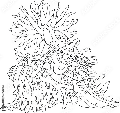 Hermit crab in a fancy shell with a poisonous actinia on a tropical reef in a southern sea, black and white outline vector cartoon illustration for a coloring book page