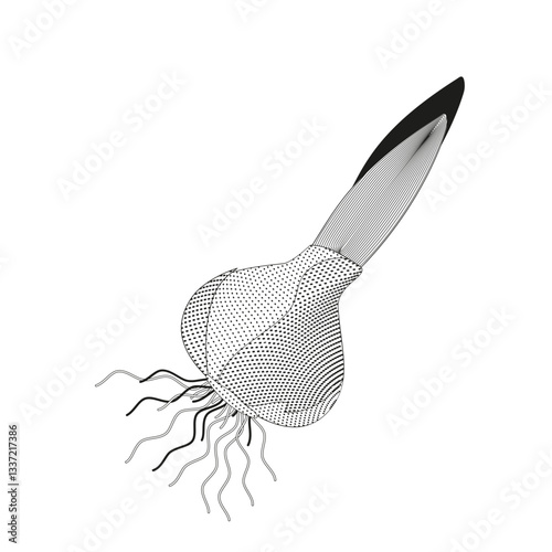 sprouted bulb of a plant black and white vector illustration