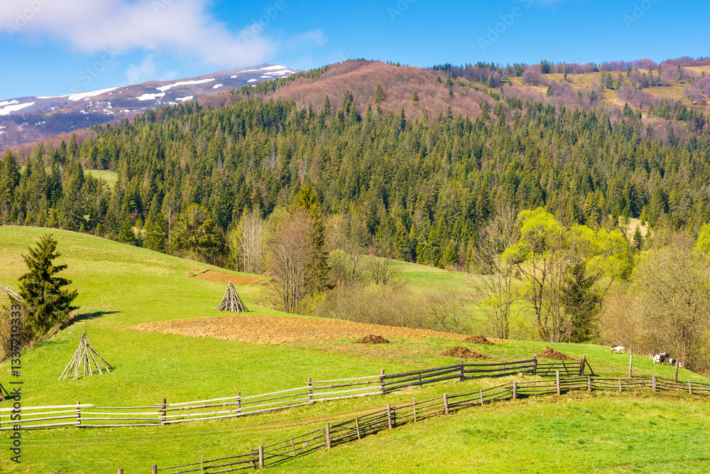 rural landscape with wooden fence. countryside nature on mountain with sky and cloud. grass field for pasture. green scenic forest on hill for outdoor travel