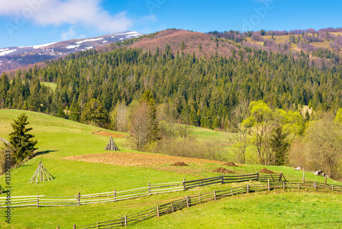 Obraz na płótnie rural landscape with wooden fence. countryside nature on mountain with sky and cloud. grass field for pasture. green scenic forest on hill for outdoor travel w salonie