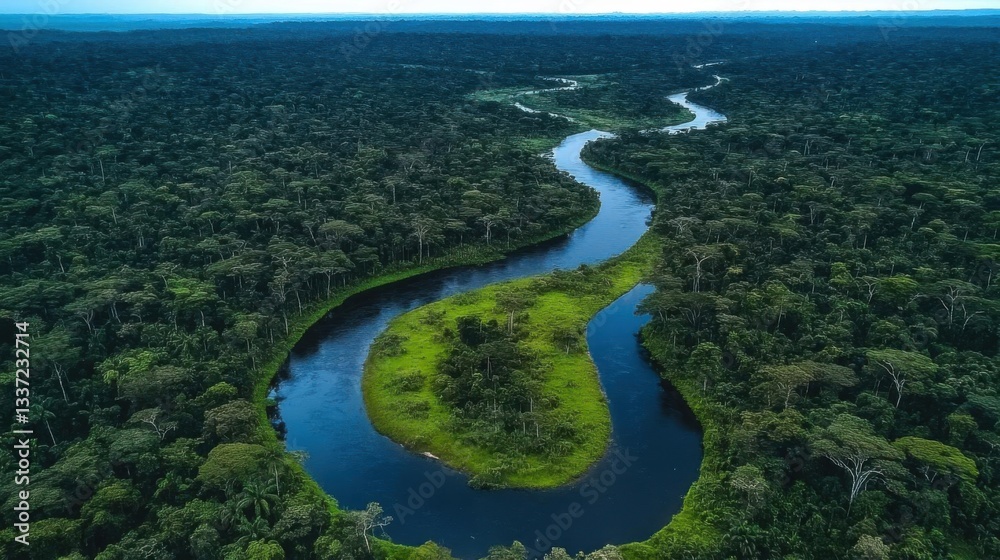 Aerial View of Rainforest River Aerial View of Rainforest River