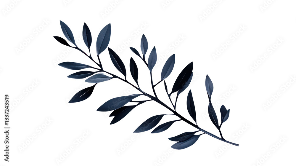 set of leaves on white background set of leaves on white background