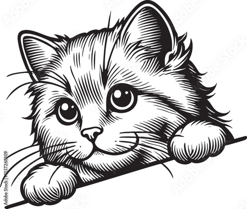 Cat Peek Black Vector Outline