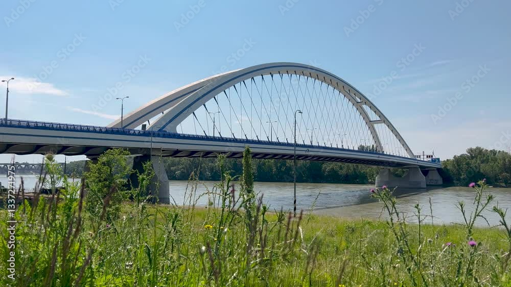 Bratislava, Bratislava Region, Slovak Republic - 09.07.2024: A sunny day in a modern park with freshly planted trees, vibrant green grass, and a white arched bridge over a calm river in the background Bratislava, Bratislava Region, Slovak Republic - 09.07.2024: A sunny day in a modern park with freshly planted trees, vibrant green grass, and a white arched bridge over a calm river in the background