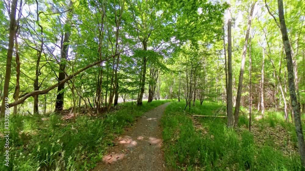 Hiking on Smooth Trails in Acadia National Park Hiking on Smooth Trails in Acadia National Park