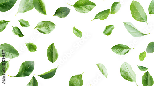 A white background with green leaves scattered all over it
