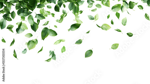 A white background with green leaves falling from the sky