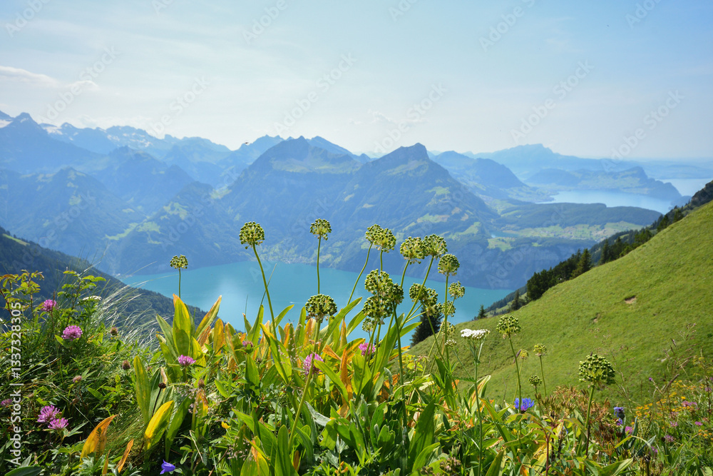 Fototapeta premium Stoos Schweiz