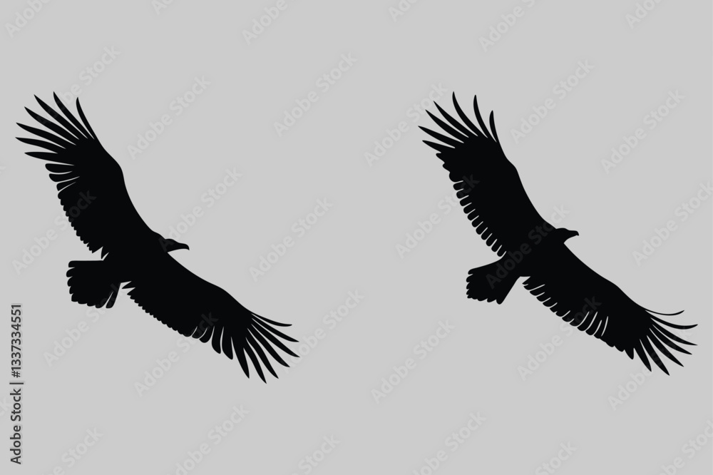 Obraz premium a vulture circling in the sky silhouette vector design art and illustration