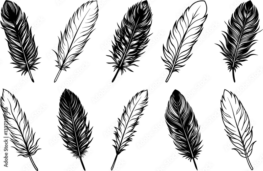 Obraz premium A Set of Fluffy Feather silhouette and Line art Vector Illustration