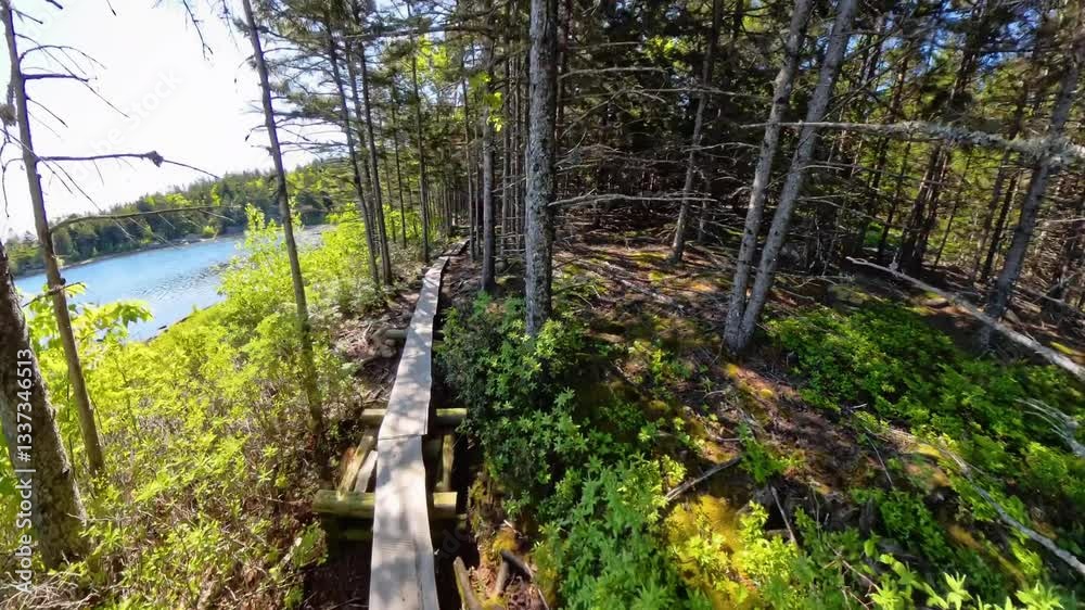 Boardwalks on Trail Alongside the Bowl in Acadia National Park Boardwalks on Trail Alongside the Bowl in Acadia National Park