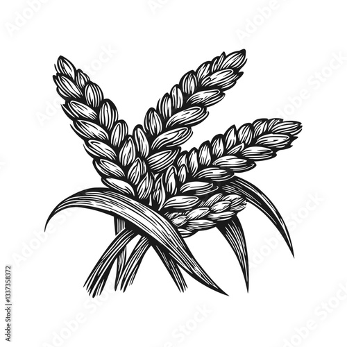 Detailed Black and White Engraving of Wheat Sheaves and Leaves