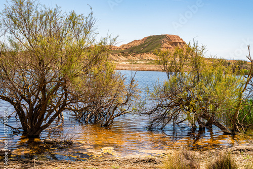 Désert de Bardenas