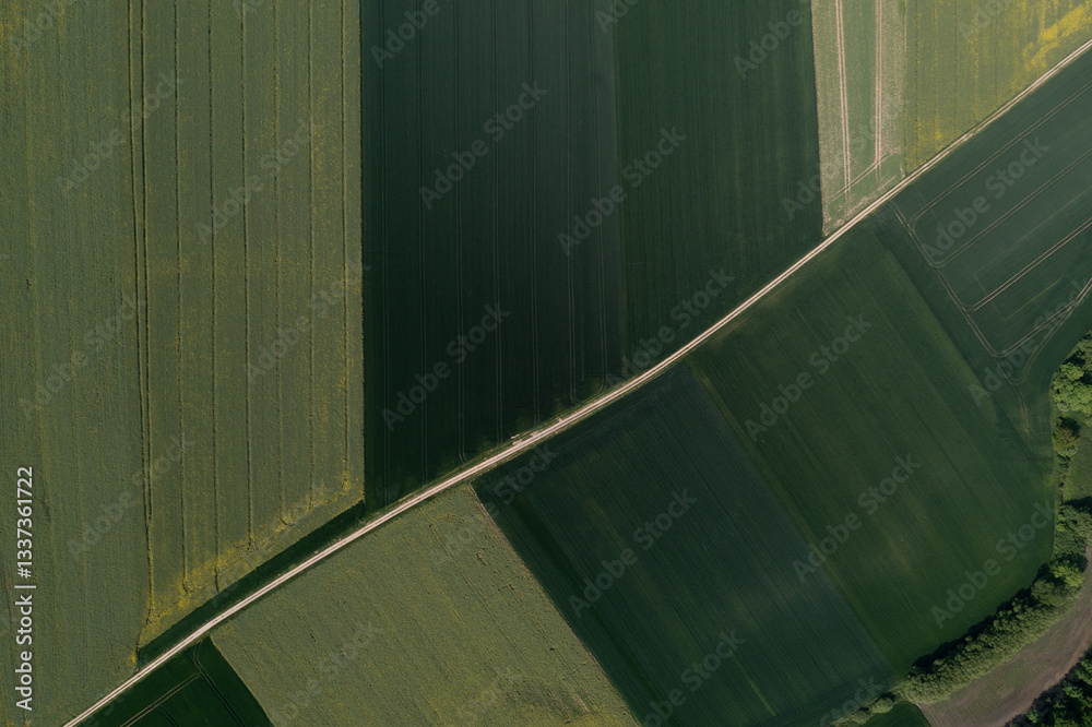 Aerial View of Agricultural Fields