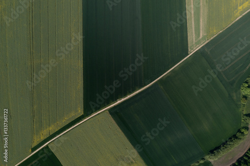 Obraz na płótnie Aerial View of Agricultural Fields w salonie