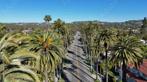 Sunny California, Los Angeles with palm trees on the street in Beverly Hills. Drone video