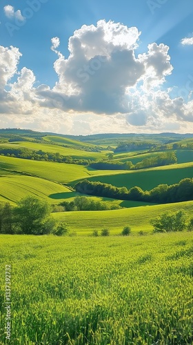 Lush Green Rolling Hills Under a Bright Blue Sky With Fluffy Clouds in the Co...