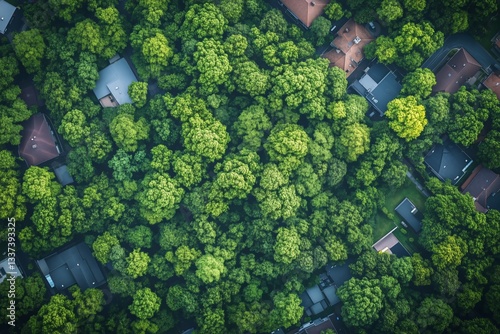 Detailed Aerial View of Suburban Neighborhood Surrounded by Trees in a Reside...