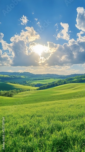 Lush Green Rolling Hills Under a Bright Blue Sky With Fluffy Clouds in the Co...