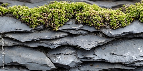 Mossy slate rock texture close-up